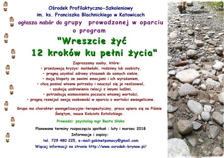 Wreszcie żyć - 12 kroków ku pełni życia